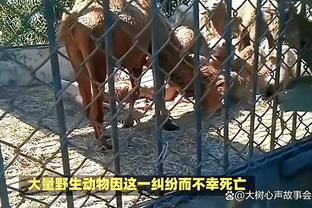 曼联客战热刺已确认的出征球员名单：马夏尔在列，马奎尔不在其中