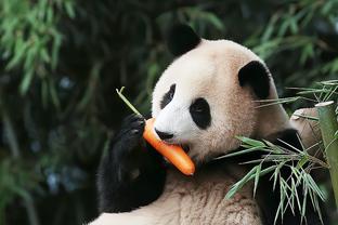 基德：球队必须保持饥饿感 我们要保持快速的比赛节奏